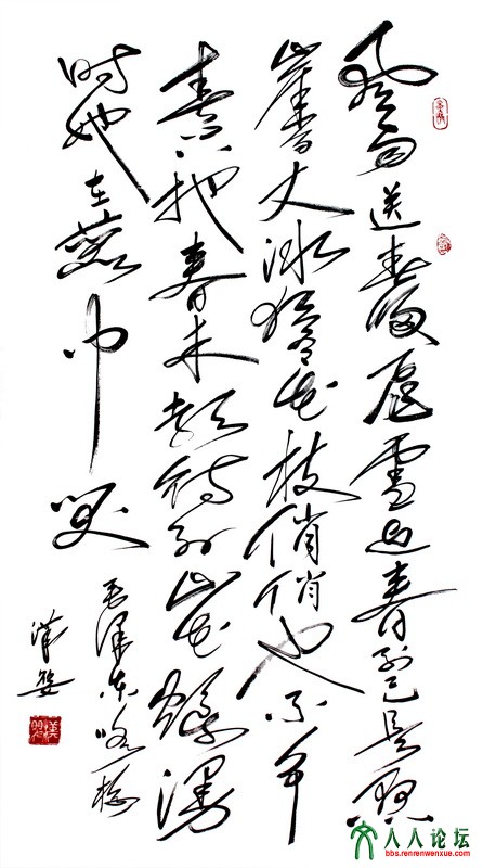 草书《毛泽东·咏梅》97×180cm.JPG